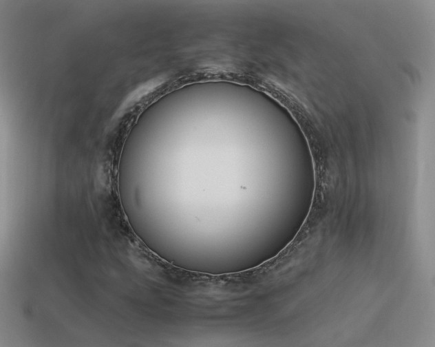 X0000115501207200911061320