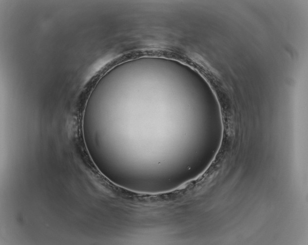 X0000115501208200911061320