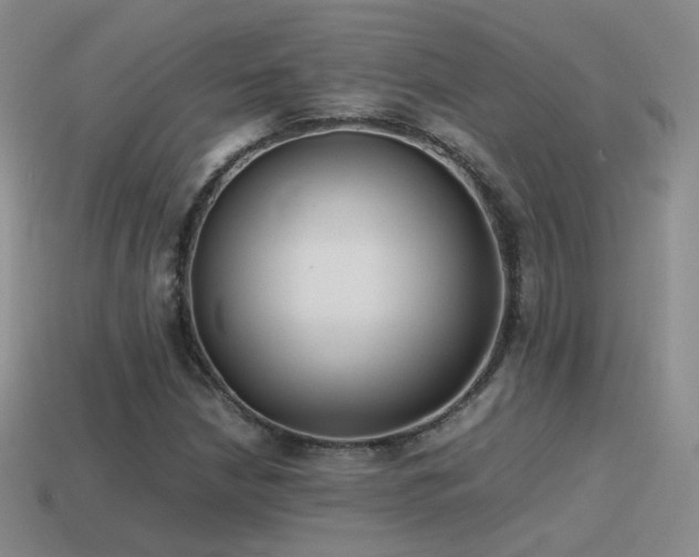 X0000115501210200911061320