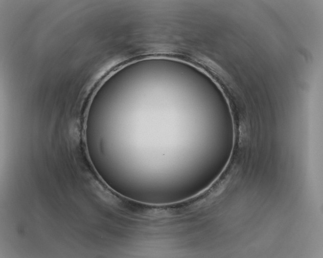 X0000115501212200911061320