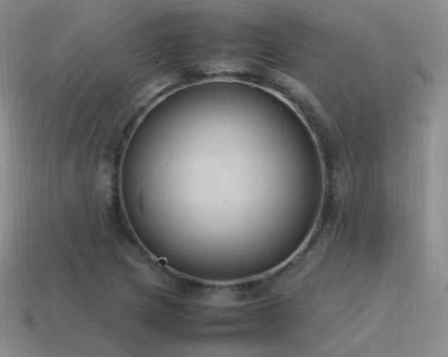 X0000115501217200911061320