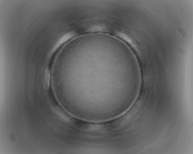 X0000115501219200911061320