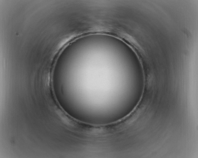 X0000115501220200911061320