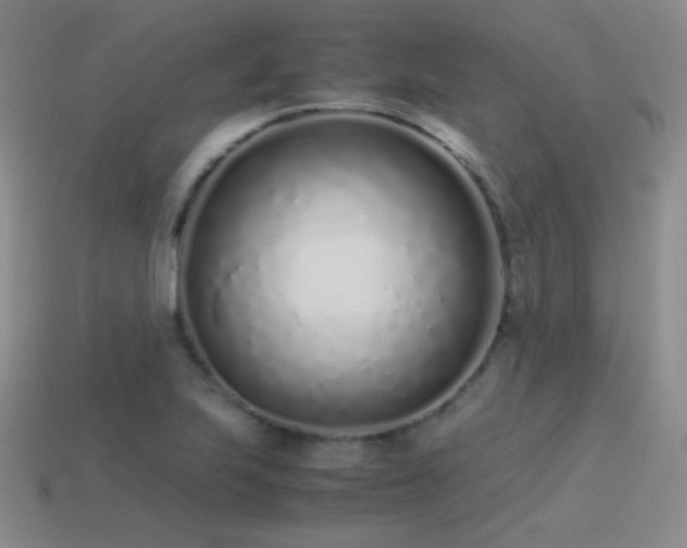 X0000115501223200911061321