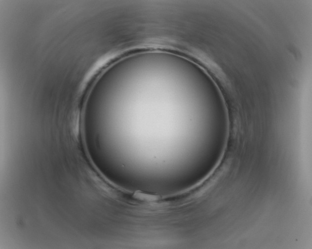 X0000115501224200911061321