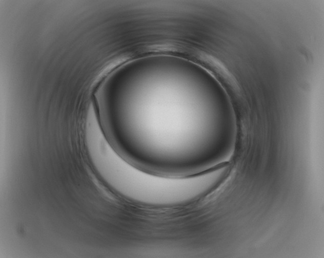 X0000115501225200911061321