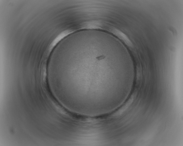X0000115501226200911061321