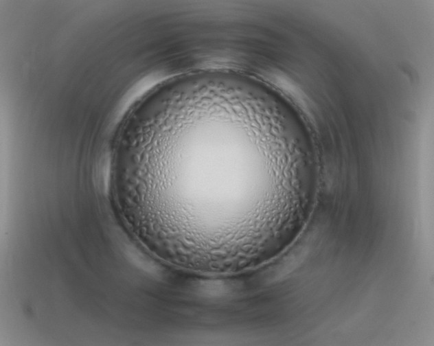 X0000115501227200911061321