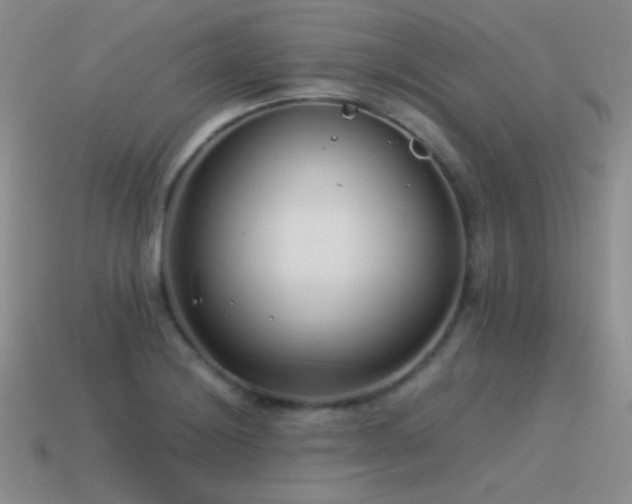 X0000115501228200911061321