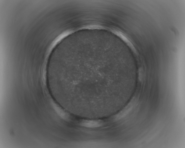 X0000115501229200911061321