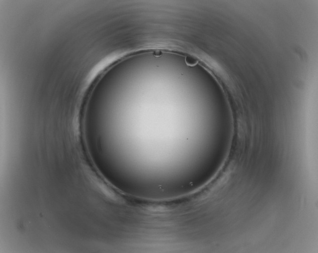 X0000115501230200911061321