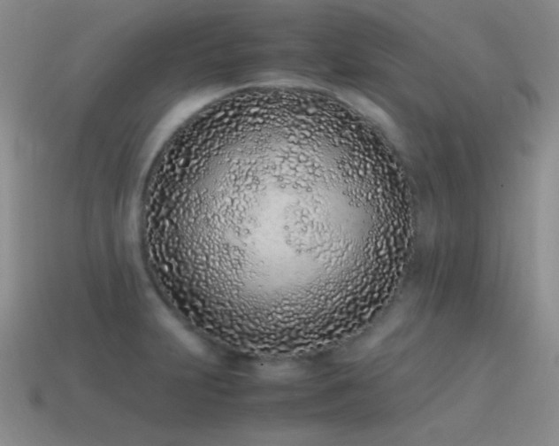 X0000115501231200911061321