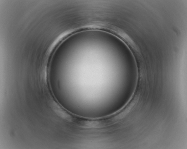 X0000115501232200911061321