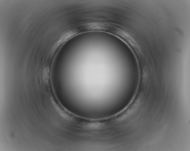 X0000115501233200911061321