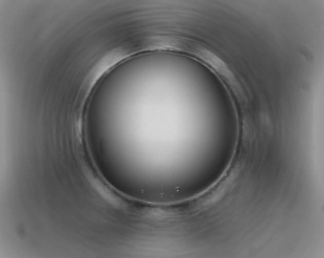 X0000115501234200911061321