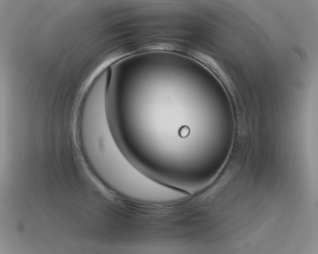 X0000115501235200911061321