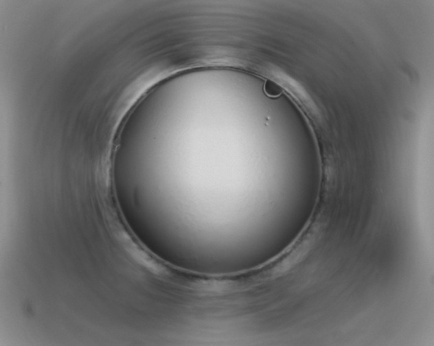 X0000115501236200911061321
