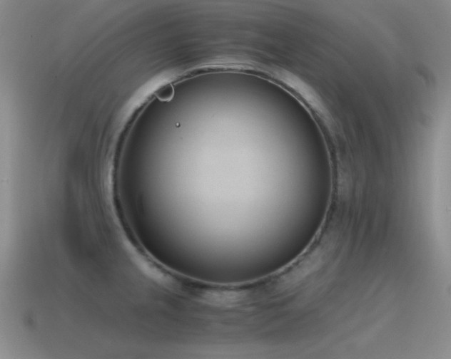 X0000115501237200911061321