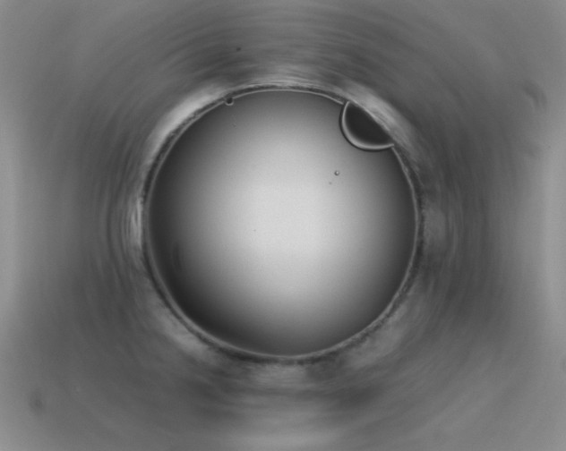 X0000115501238200911061321