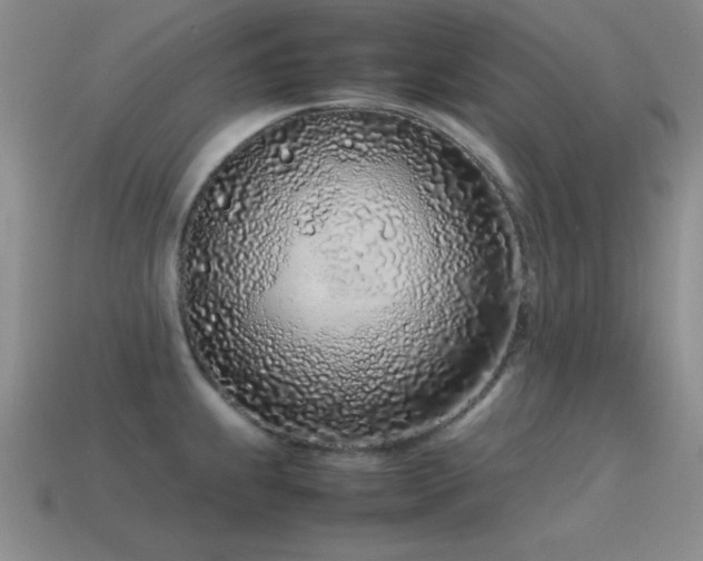 X0000115501239200911061321
