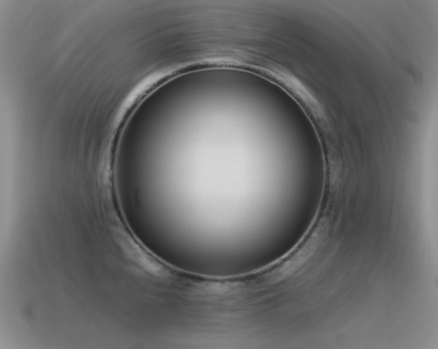 X0000115501240200911061321