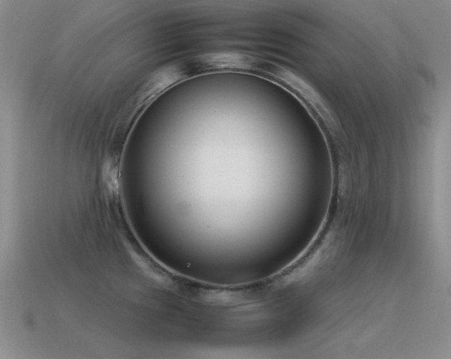X0000115501241200911061321