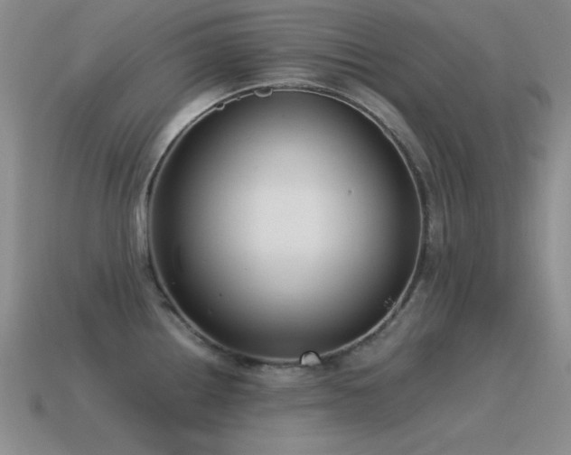 X0000115501242200911061321
