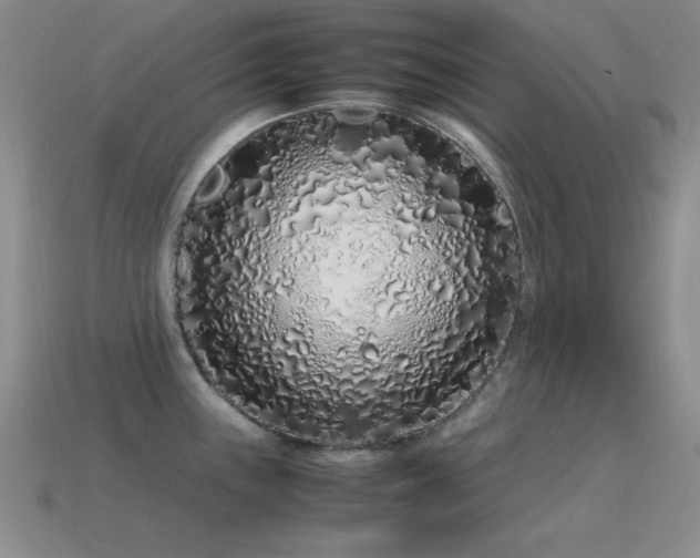 X0000115501243200911061321