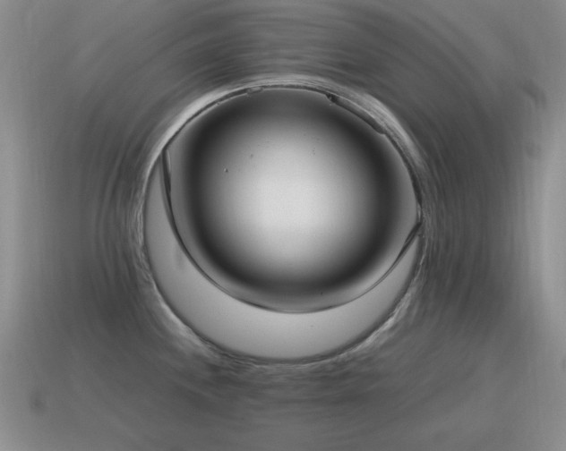 X0000115501244200911061321