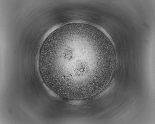X0000115501245200911061321