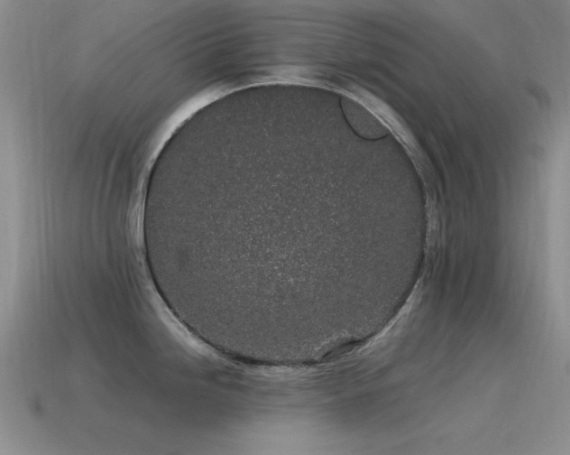 X0000115501246200911061321