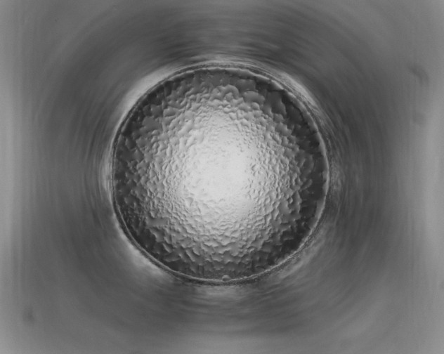 X0000115501247200911061321