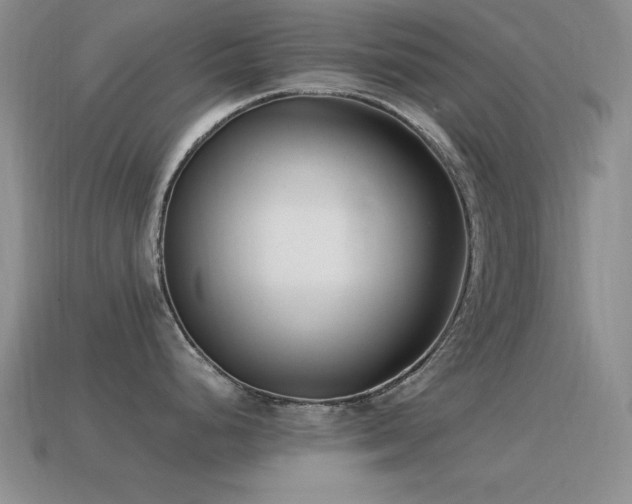 X0000115501248200911061321