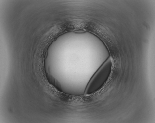 X0000115501249200911061320