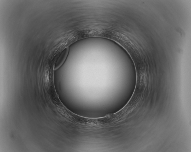 X0000115501250200911061320