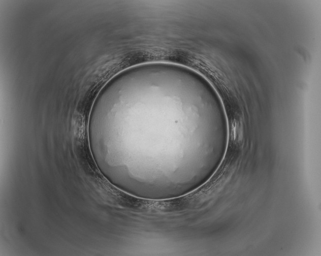 X0000115501251200911061320