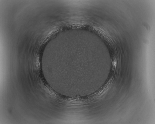X0000115501252200911061320