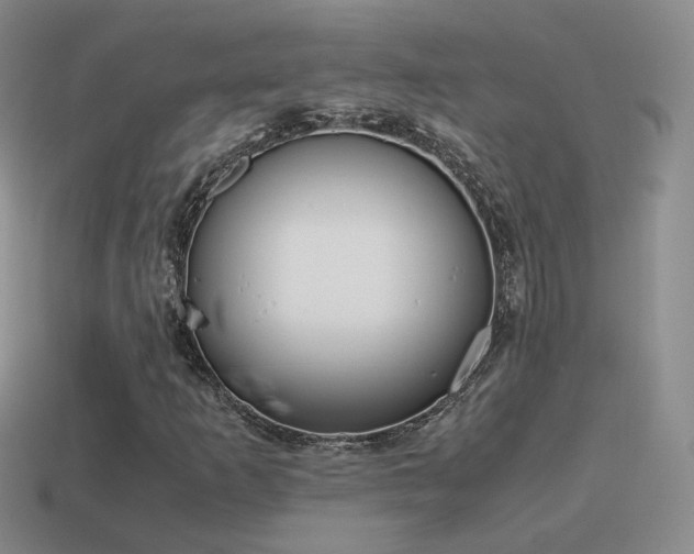 X0000115501253200911061320