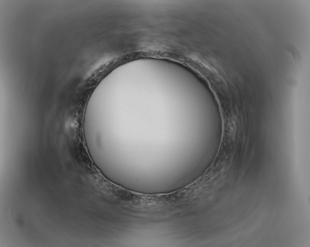 X0000115501254200911061320