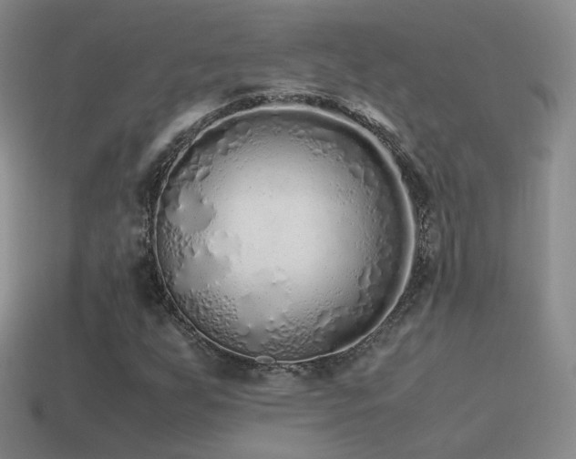 X0000115501255200911061320