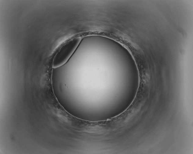 X0000115501256200911061320