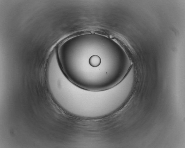 X0000115501260200911061320