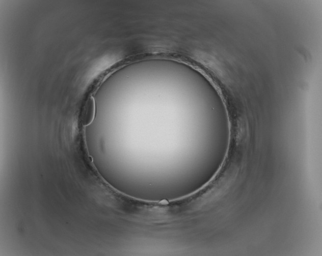 X0000115501261200911061320