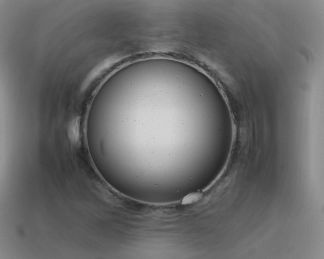 X0000115501262200911061320