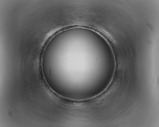 X0000115501264200911061320