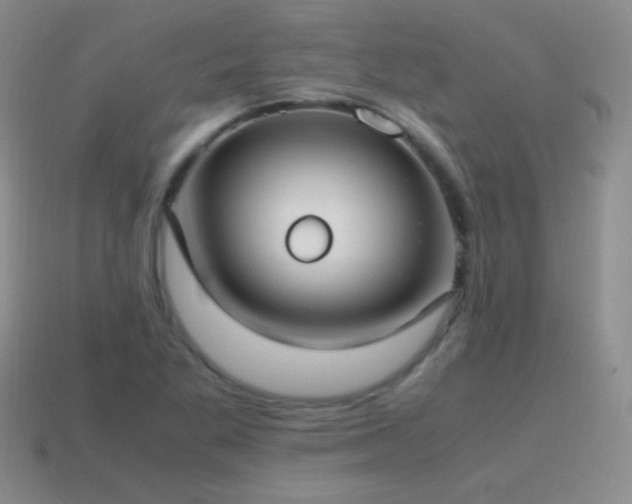 X0000115501269200911061320
