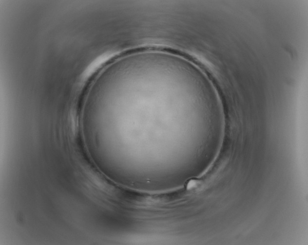 X0000115501271200911061320