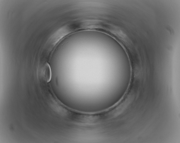 X0000115501273200911061320