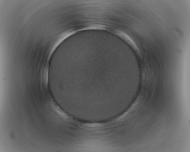 X0000115501276200911061320