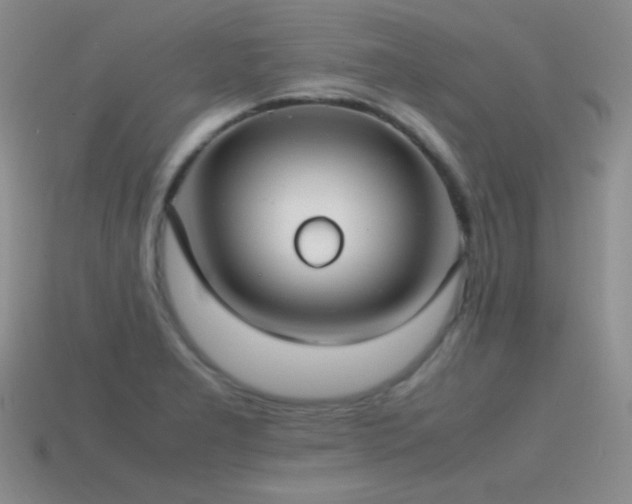 X0000115501277200911061320